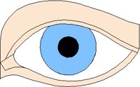 EYE.PCX