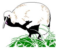 KIWIBIRD.PCX