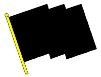 PLNFLAG3.TIF