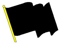 PLNFLAG2.TIF