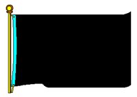 PLNFLAG1.TIF