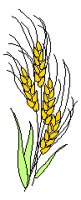 WHEAT.TIF