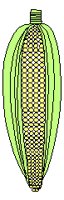 VEGTBL4.TIF