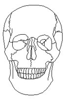 SKULFRNT.TIF