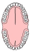 FULMOUTH.TIF