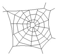 SPIDRWEB.TIF