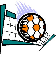 VOLLY.TIF