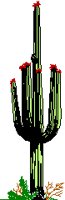 CACTUS.TIF