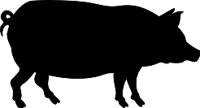 HOG.WMF