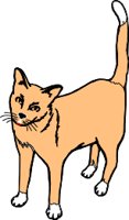 CAT.WMF