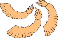 SHRIMP.WMF