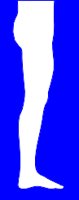 SIDELEG.WMF