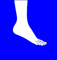 ANKLE.WMF