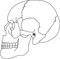 SKULSIDE.WMF