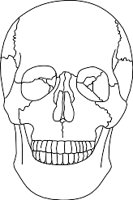 SKULFRNT.WMF