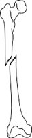 OBLIQUE.WMF
