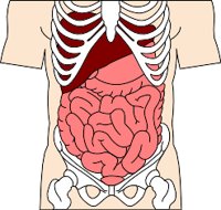 INTERNAL.WMF