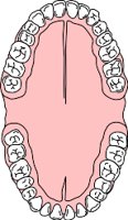 FULMOUTH.WMF
