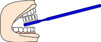 DENTCARE.WMF
