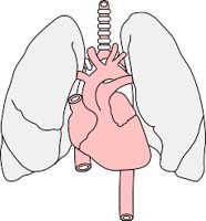 CARDIOVA.WMF