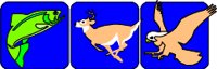 WILDLIFE.WMF