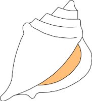 SEASHELL.WMF