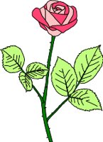 ROSE.WMF