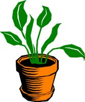 PLANT.WMF