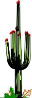 CACTUS.WMF