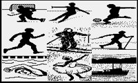SPORTS3.PGST.iff