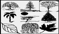 TREES.PGST.iff
