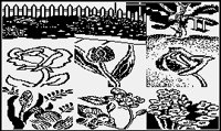 PLANTS3.PGST.iff