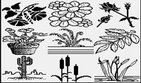 PLANTS1.PGST.iff