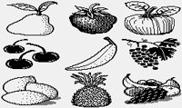 FRUIT.PGST.iff