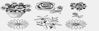 FLOWERS.PGST.iff