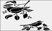 BBIRDS.PGST.iff