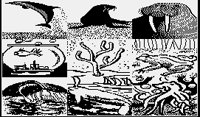 ANIMALS5.PGST.iff