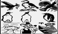 ANIMALS4.PGST.iff