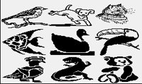 ANIMALS2.PGST.iff