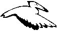 PELICAN.EPS