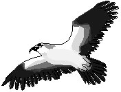OSPREY.EPS