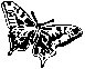 BUTTERFL.EPS