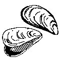 MUSSELS.EPS