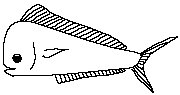 DOLPHIN.EPS
