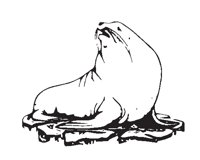 SEALION.EPS