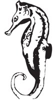 SEAHORSE.EPS