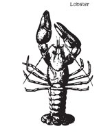LOBSTER.EPS