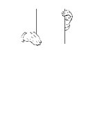 TWOHNDS1.EPS