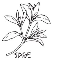 SAGE.EPS