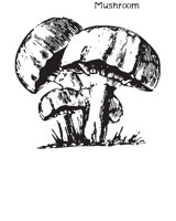 MUSHROOM.EPS